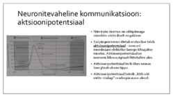 Käitumise bioloogilised alused #7