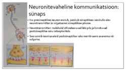 Käitumise bioloogilised alused #8