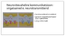 Käitumise bioloogilised alused #9