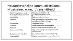 Käitumise bioloogilised alused #10