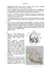 Veterinaaria #3