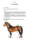 Veterinaaria