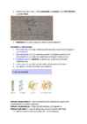 Lipiidid #4