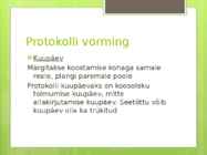 Haldusdokumendid #36