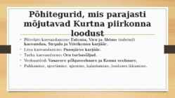 Kurtna järvestik #15