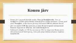 Kurtna järvestik #17