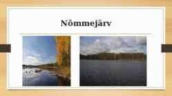 Kurtna järvestik #18