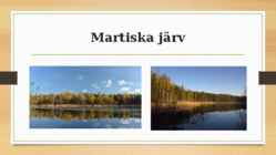 Kurtna järvestik #22