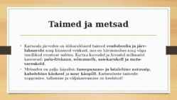 Kurtna järvestik #5