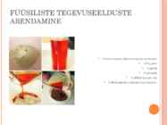 Loovate tegevuste mapp #3