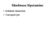 Etiketikursuse lõputöö #7