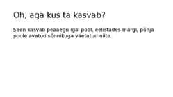 TERAV PALJAK #4