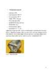 Magneesium #11