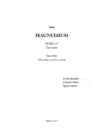 Magneesium