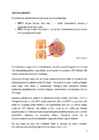 GENITAALHERPES