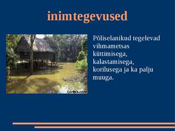 Vihmamets #11