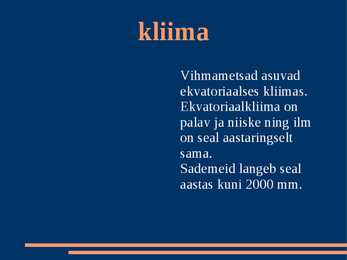 Vihmamets #3