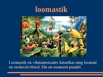 Vihmamets #8