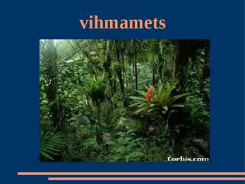 Vihmamets
