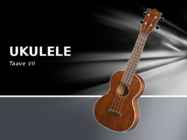 Ukulele ehitus-skeem