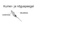Valguse peegeldumine #10