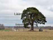 Lääne-Virumaa