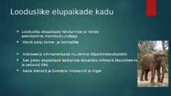 Põllumajanduse mõju keskkonnale arenenud maades ja arengumaades #4