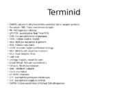 Terminid