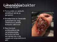 Bakterhaigused #7