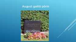 August Gailit #6