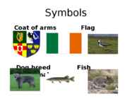 Ireland #8