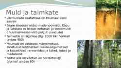 Baleaarid #8