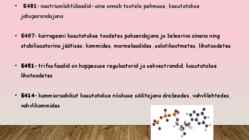 TARBIMISHARJUMUSED #4