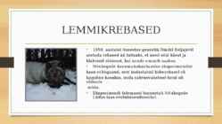SOVETID MÄNGISID LOODUSEGA #6