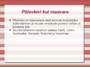 Põlevkivi kasutamine ja ajalugu #7