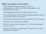 ULTRAVIOLETTKIIRGUS #4