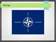 NATO e Põhja-Atlandi lepingu organisatsioon #6
