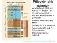 Eesti energeetikatööstus #7