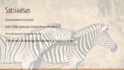 Loomad savannis-Sebrad #5
