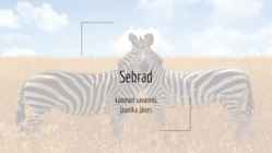Loomad savannis-Sebrad
