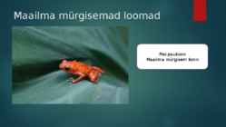 Mürkloomade toksiinid meditsiinis #3