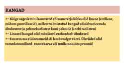 VANA - EGIPTUS 3100 eKr - 332 eKr #21