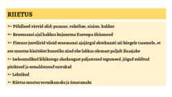RENESSANSS #5