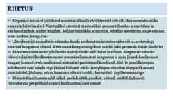 KESKAEG 5 - 16-sajand #5