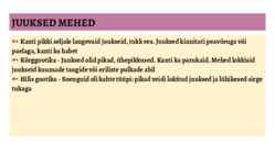 GOOTIKA 12 - 16-sajand #25