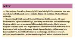 GOOTIKA 12 - 16-sajand #30