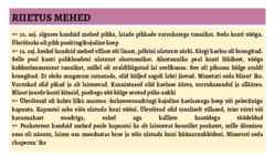 GOOTIKA 12 - 16-sajand #8