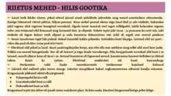 GOOTIKA 12 - 16-sajand #10
