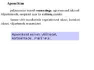 Õis-mitoos-meioos-paljunemine #11