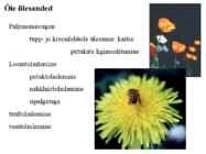 Õis-mitoos-meioos-paljunemine #23